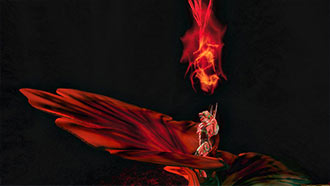 Halo 4 Screenshot