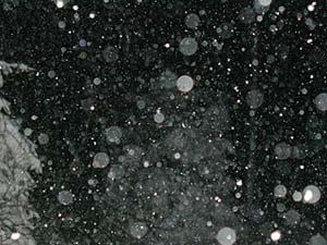 The snow comes down...