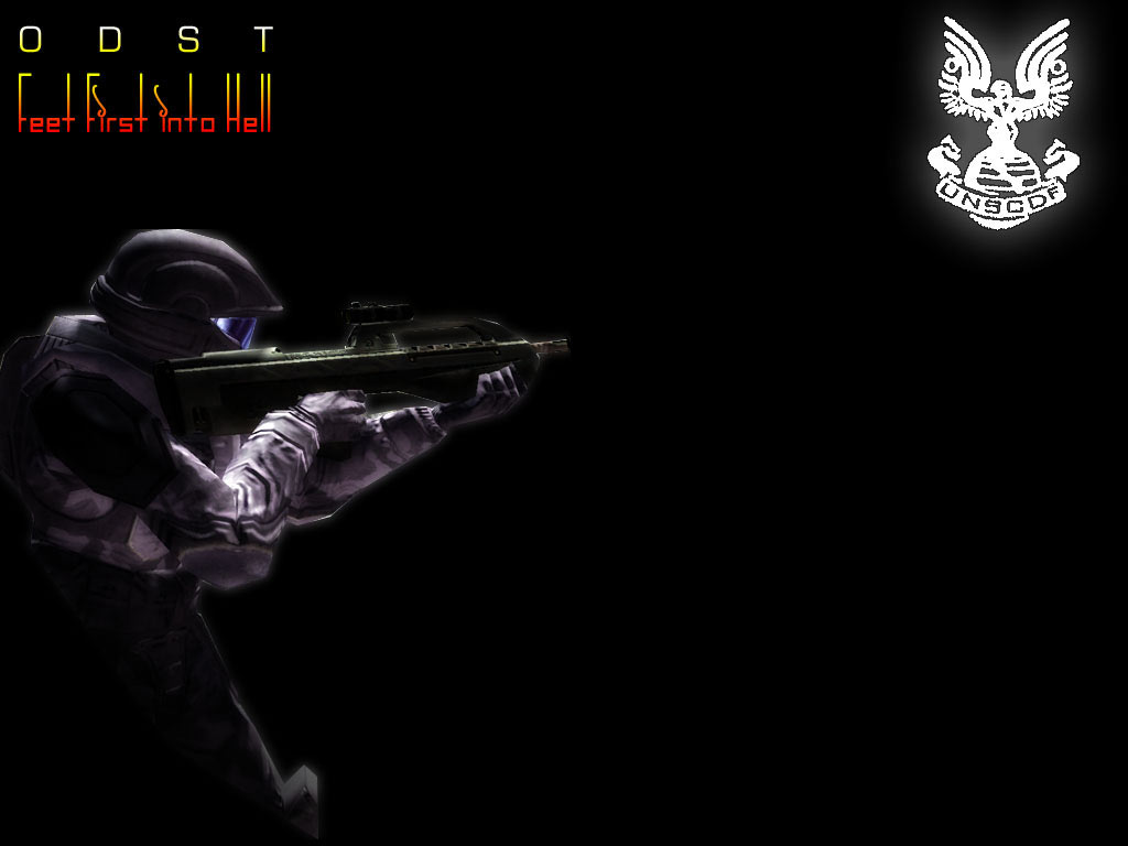 digitalmonk-odst1.jpg