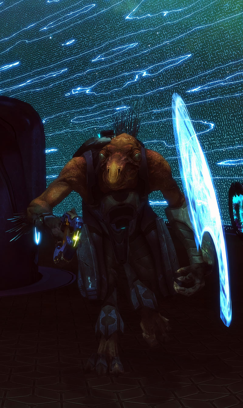 019_jackal_strolling_on_corvette