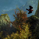 005_emile_likes_birds