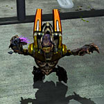 013_shadow_chasing