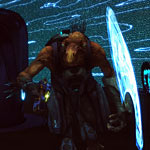 019_jackal_strolling_on_corvette