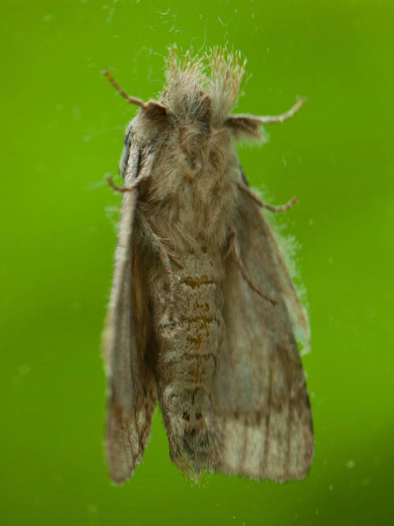 P1060447