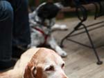IMG_6543